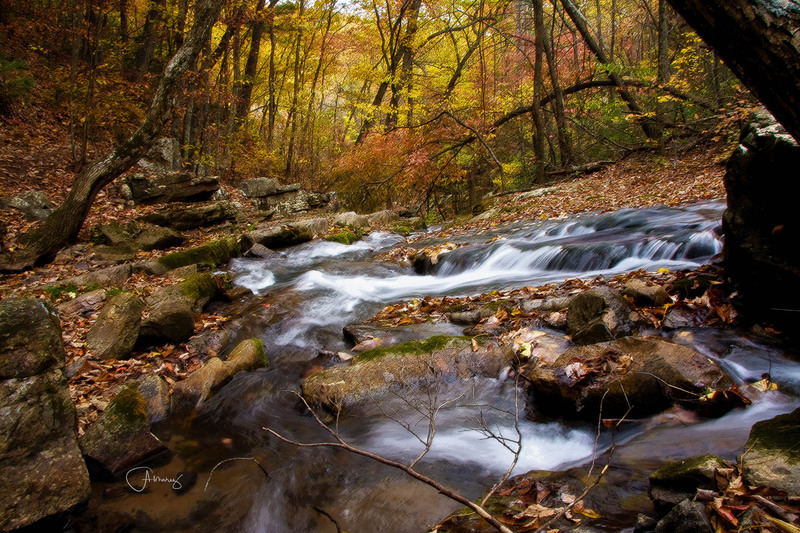 AHCS Scenic-8(1).jpg