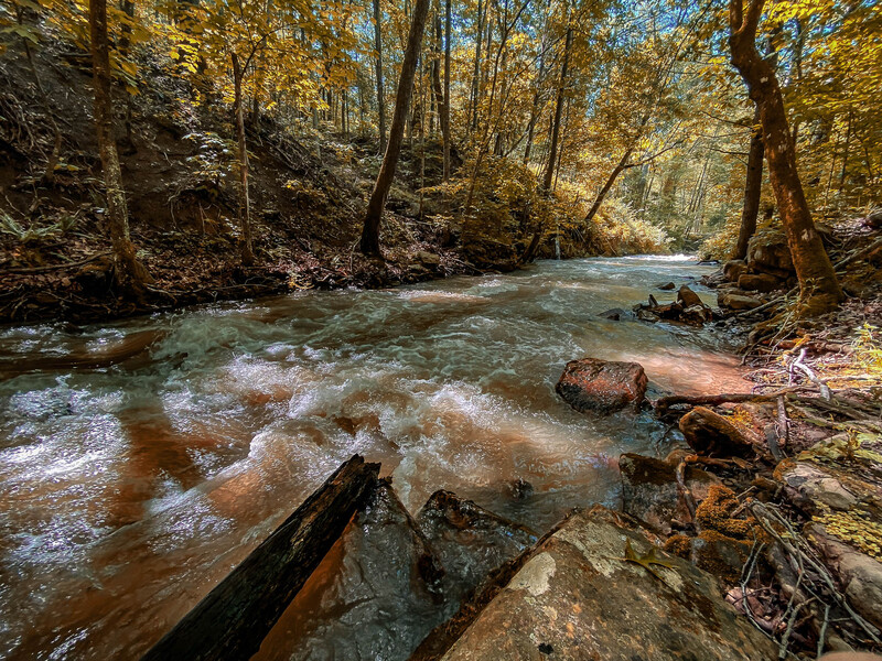 AHCS Scenic-92(1).jpg