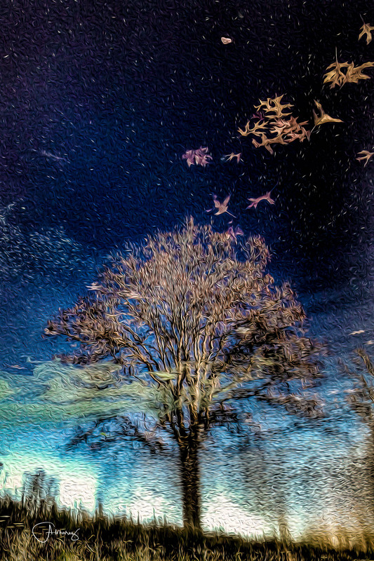 Ascension-Edit.jpg