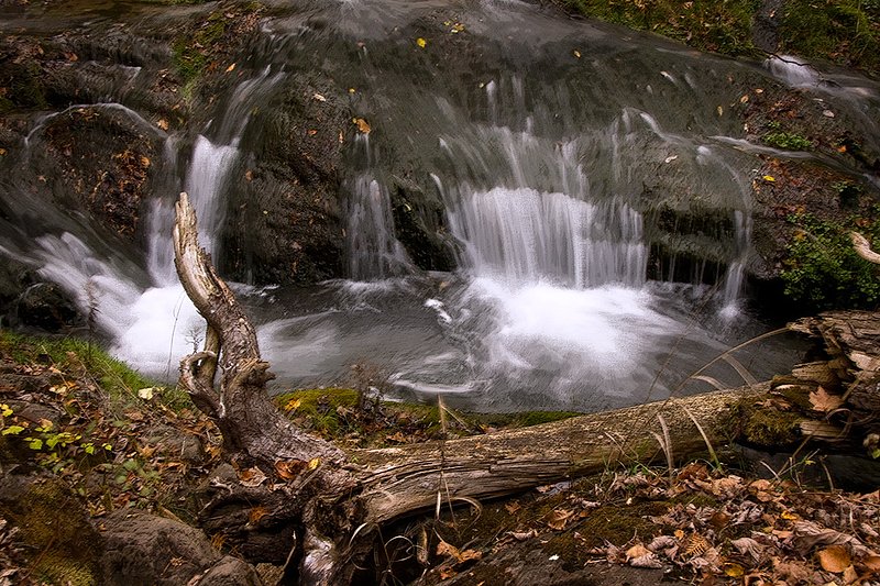 Cascades_0276.jpg