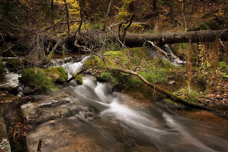 Cascades_0278.jpg