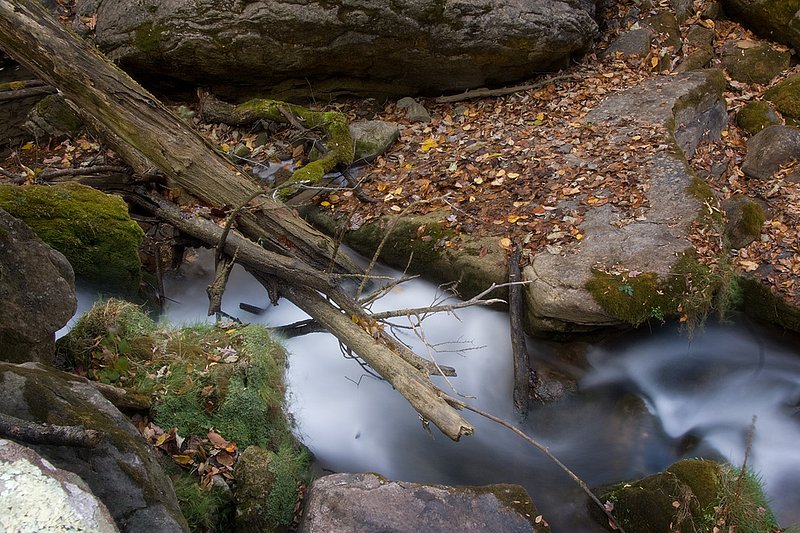 Cascades_0293.jpg