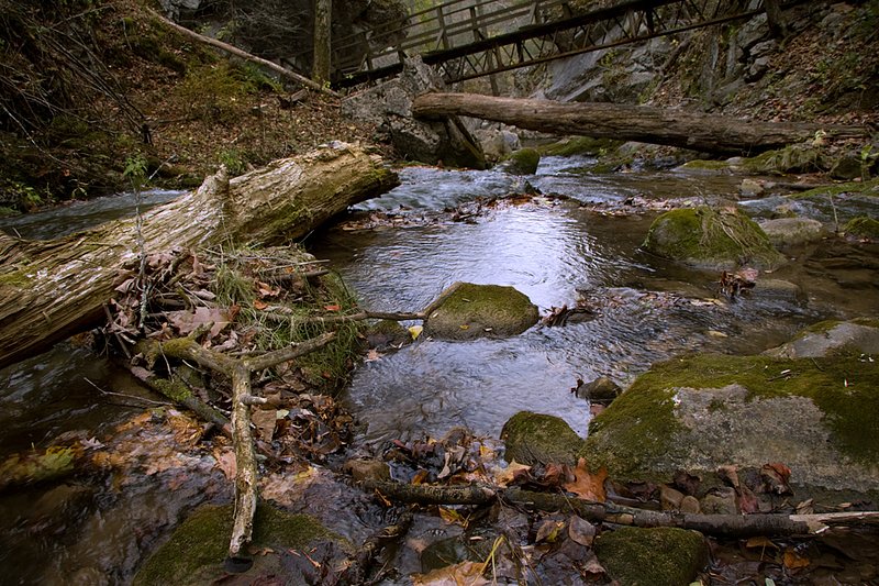 Cascades_0341.jpg