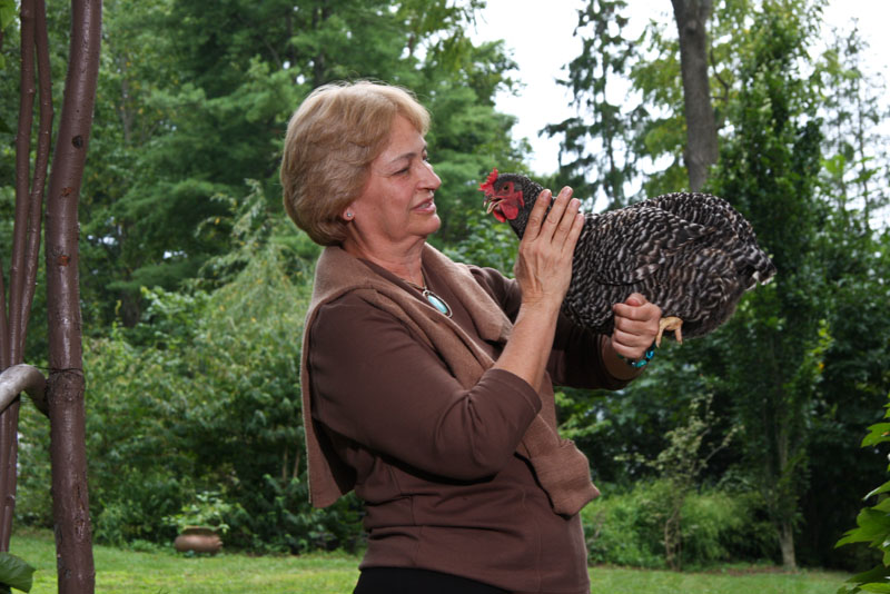 City Chicks_0006.jpg
