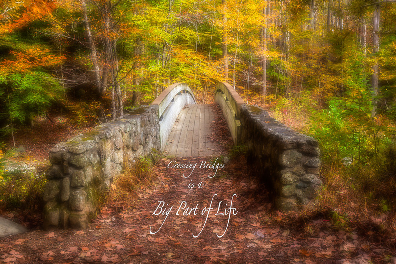 Crab Tree Falls w-Copy.jpg