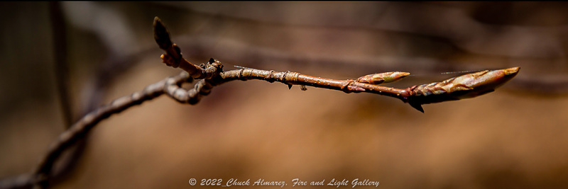 Douthat Sample Image-13.jpg