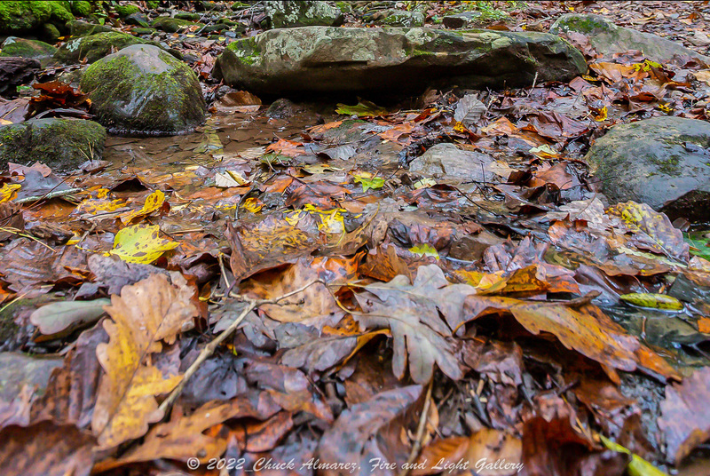 Douthat Sample Image-20.jpg