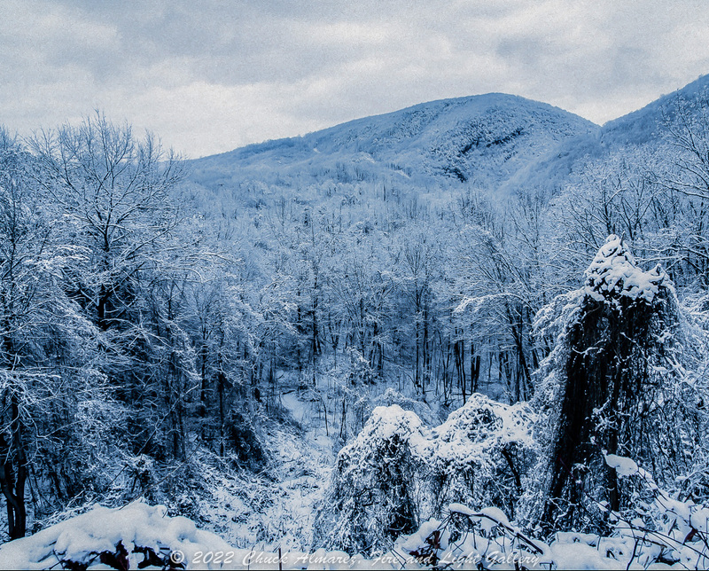 Douthat Sample Image-4.jpg