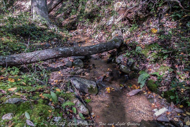 Douthat Sample Image-6.jpg