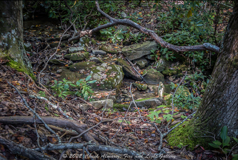 Douthat Sample Image-8.jpg