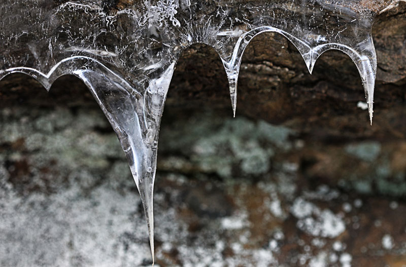 ER-Icicles-11.jpg :: Icicles at Eagle Rock cliff face.