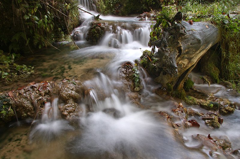FS - Back Falls.jpg