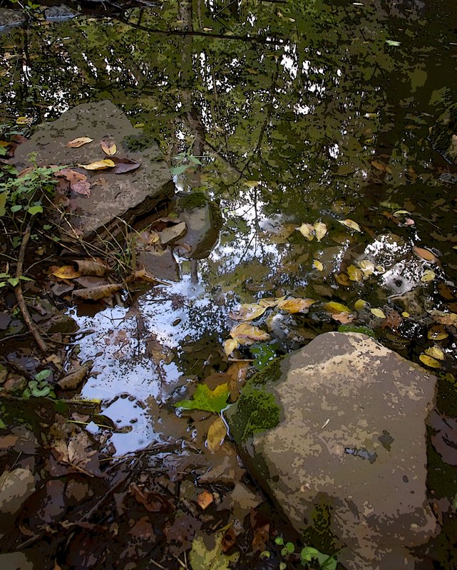 FS - Hidden Pond.jpg