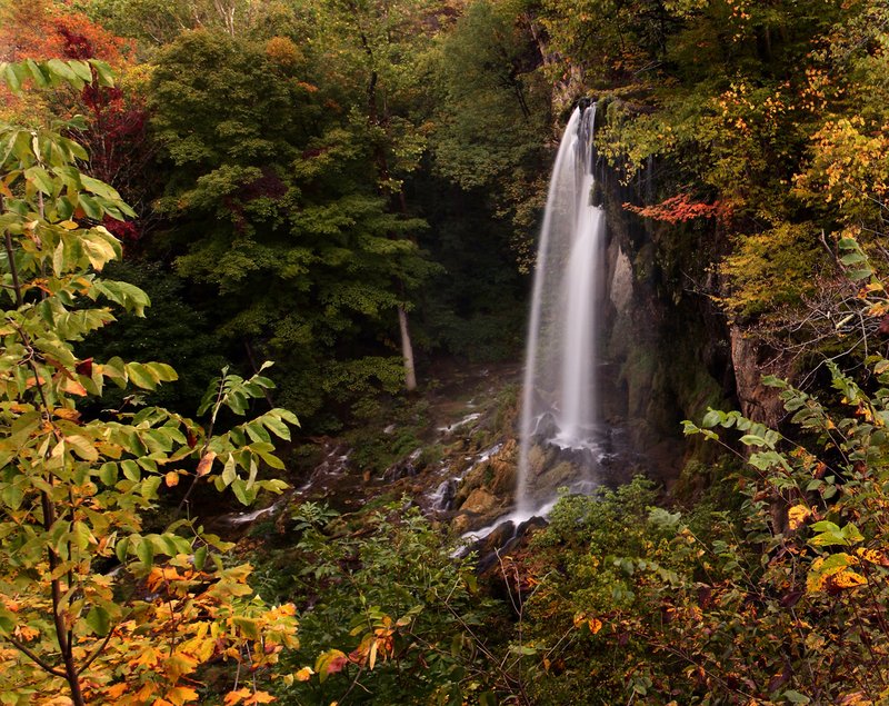FS - Top of the Falls.jpg