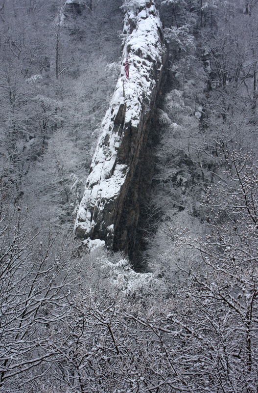 Flag in Snow_2-Devils Backbone1.jpg :: Flag in Winter at Devil's backbone outside of Clifton Forge.
