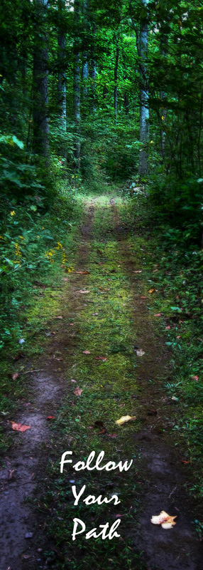 Follow Your Path.jpg
