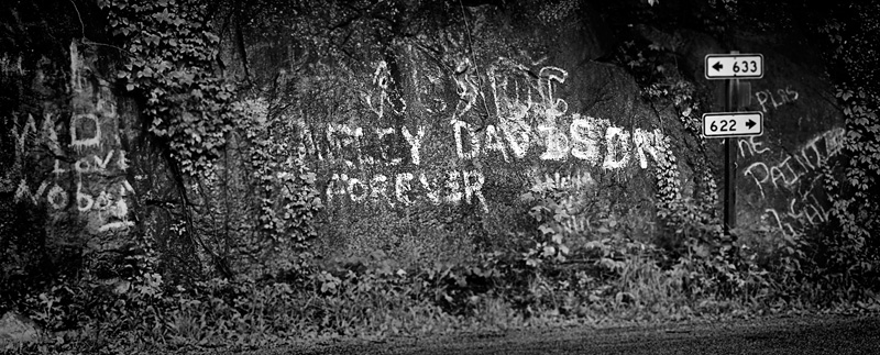 Harley Davison Forever - Glen Wilton, VA.jpg :: We moved to Glen Wilton, VA, a village of about 100 or so spread out over several miles from the San Francisco area. Lived there for about 10 years and came to this intersection almost every day on the way to almost anywhere. This grafitti had been there from day one and is probably still there. Often wondered if the artist ever realized their typo. Made for an interesting shot.