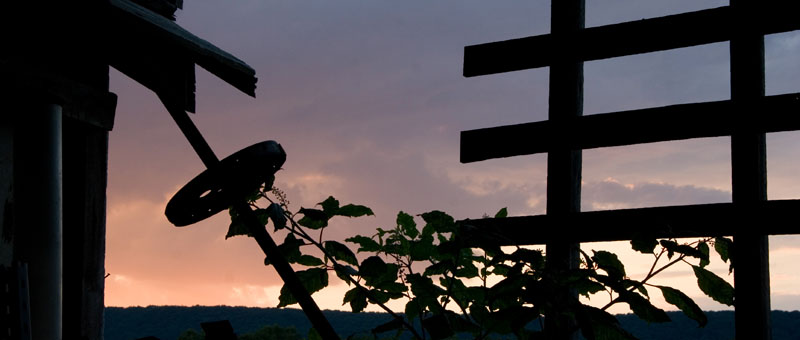 LRF-Silouette - Lost River Farm.jpg