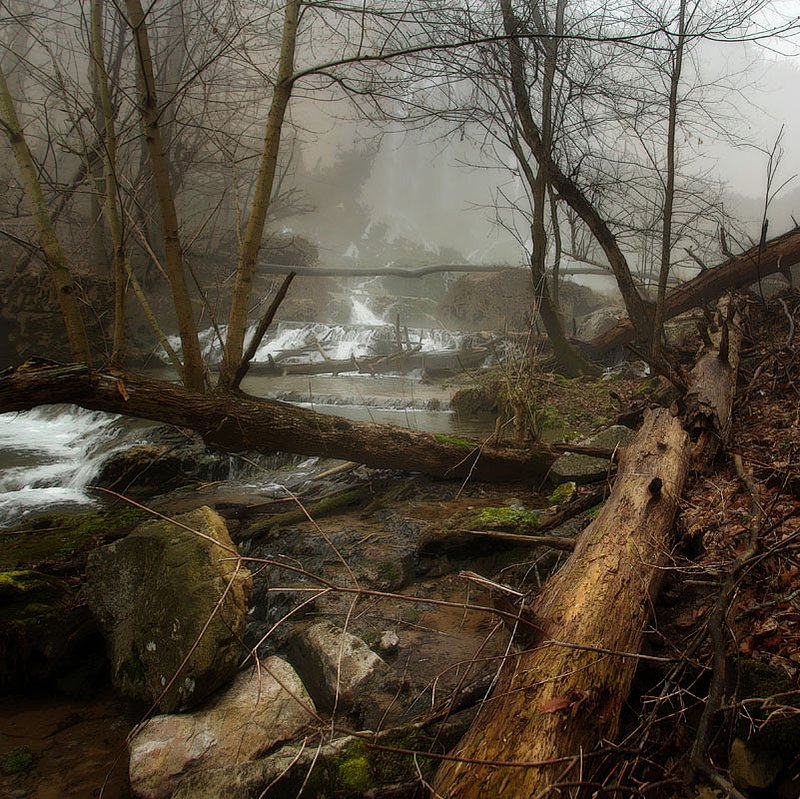 Lower Falls-Square FX.jpg :: I liked the scene and the balance of the elements but couldn't get the format ratio to work in anything but square. Good to try a different format!
