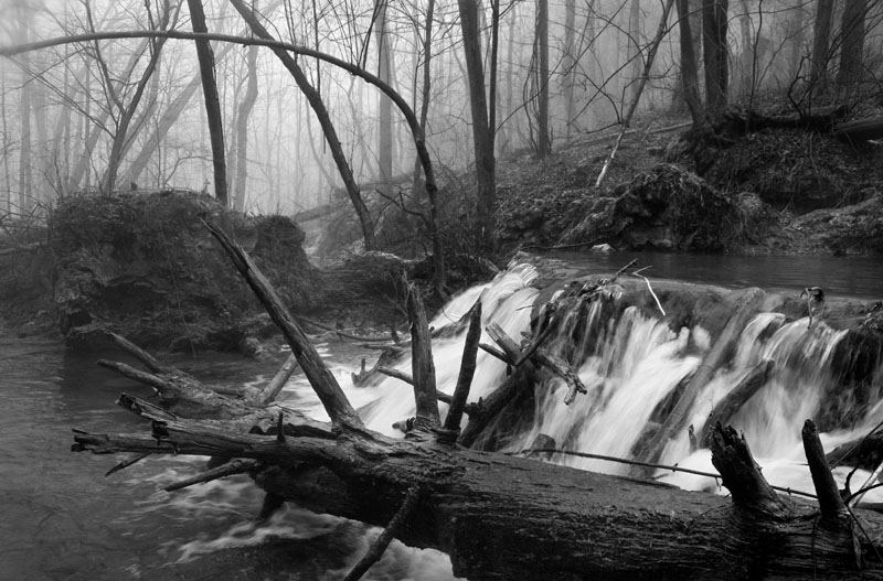 Lower Falls_B&W-1.jpg :: Many of the scenes on this day were very muted in color because of the fog and mist. These reproduced well as b&w images. I love this tree and have taken several different views of it. Never fails to appeal.