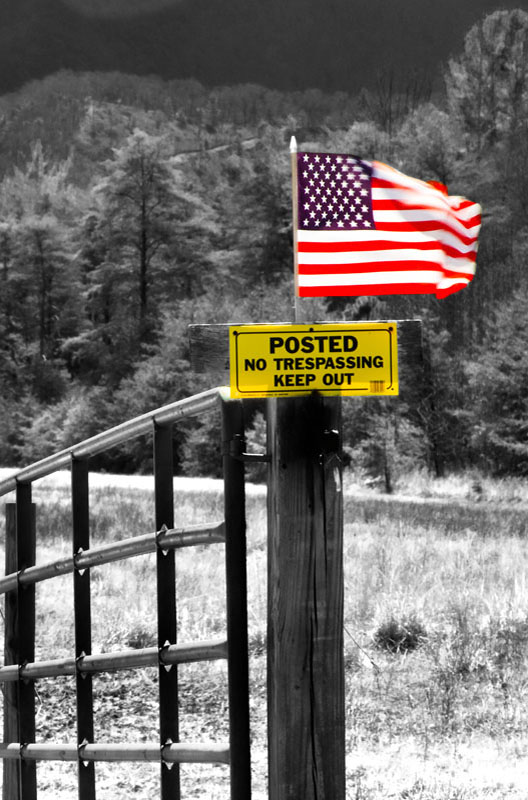 P-American Dreams.jpg :: Portfolio Sample