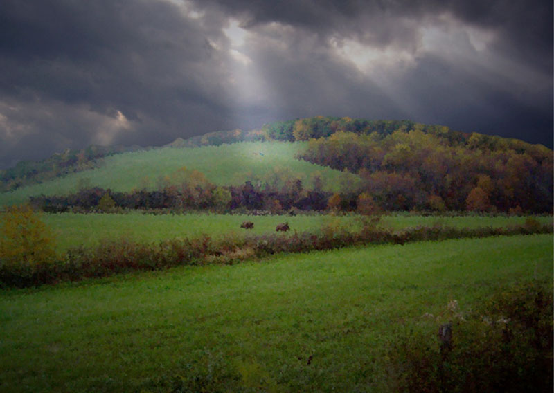 P-Clearing Storm1.jpg :: Portfolio Sample