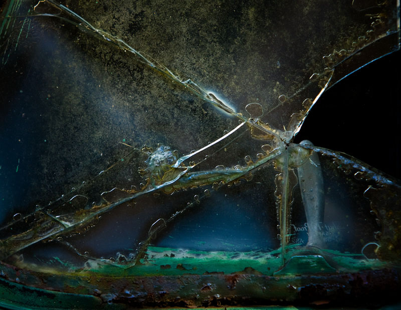 P-Cracks in the Fabric of Life.jpg :: Portfolio Sample