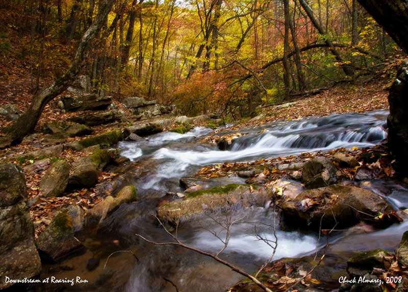 P-Downstream  Roaring Run.jpg :: Portfolio Sample