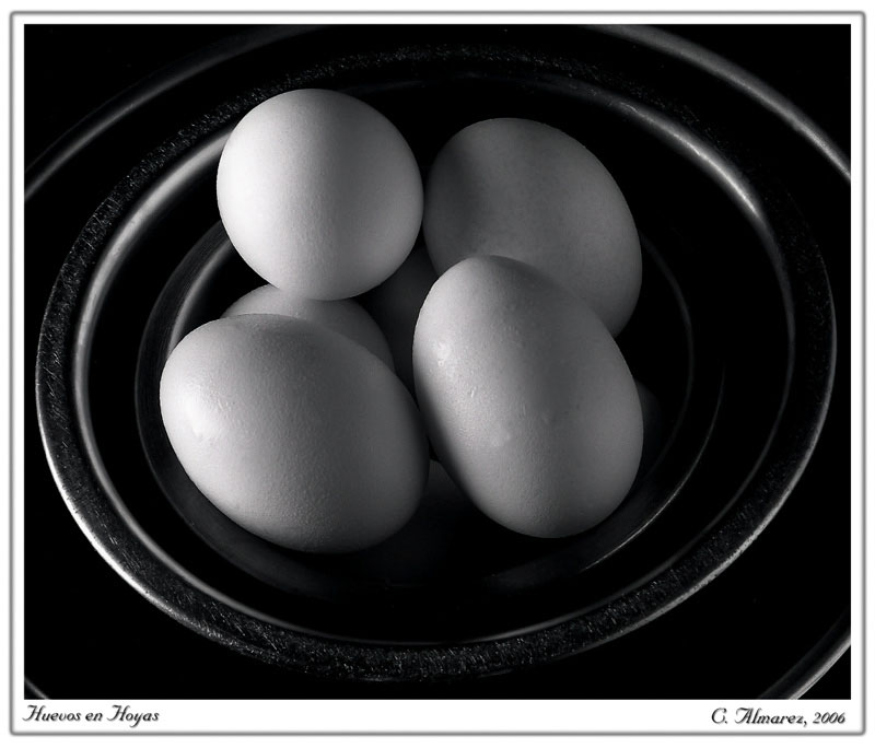 P-Huevos en Hoyas.jpg :: Portfolio Sample