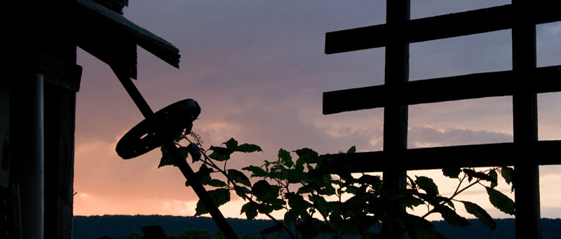 P-Lost River Farm-Silouette.jpg :: Portfolio Sample
