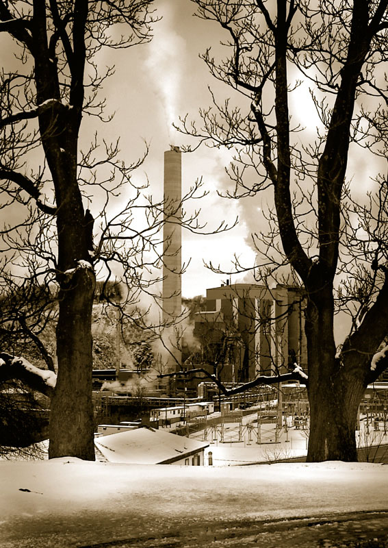 P-Mead-Westvaco1.jpg :: Portfolio Sample