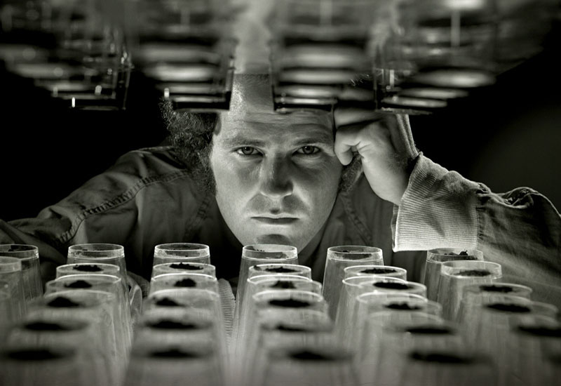 P-Portrait.jpg :: Portfolio Sample