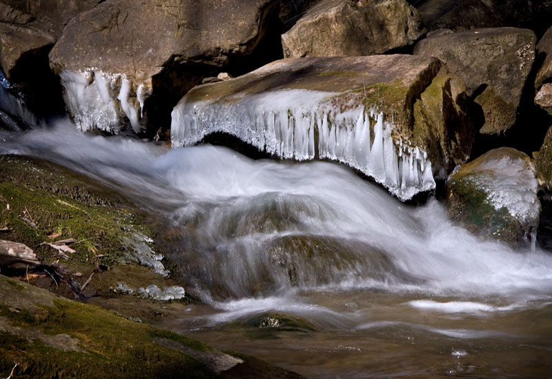 P-Roaring Run_0057.jpg :: Portfolio Sample