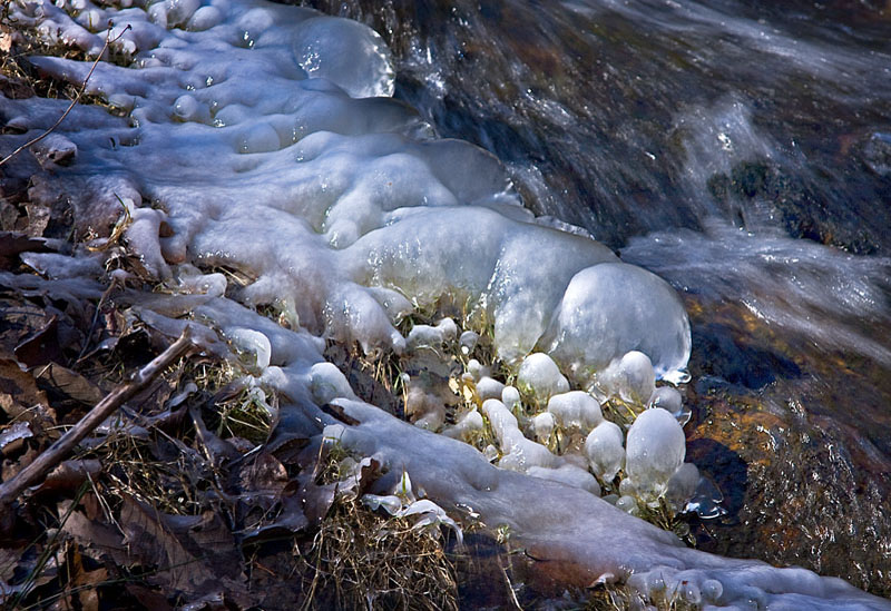 P-Roaring Run_00731.jpg :: Portfolio Sample
