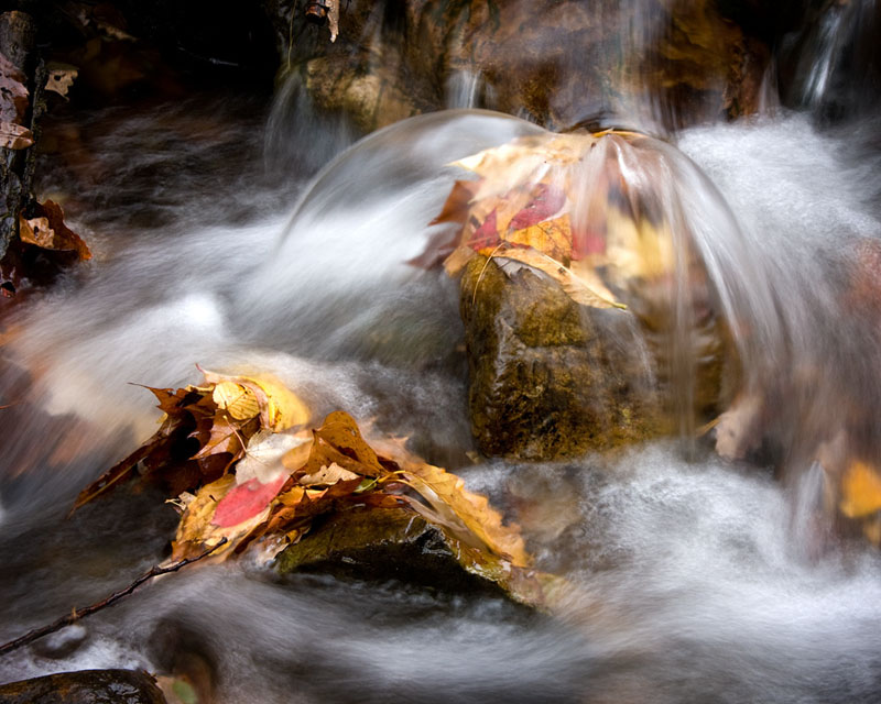 P-Roaring Run_00841.jpg :: Portfolio Sample