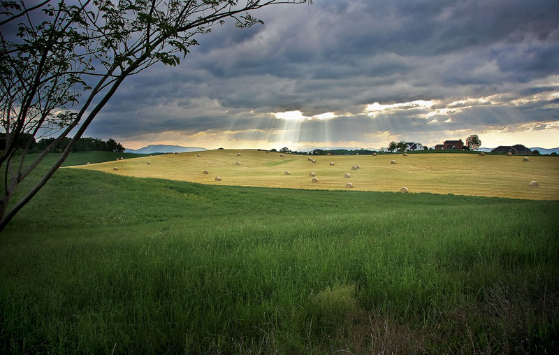 P-Round Bales-Country Club Lane.jpg :: Portfolio Sample