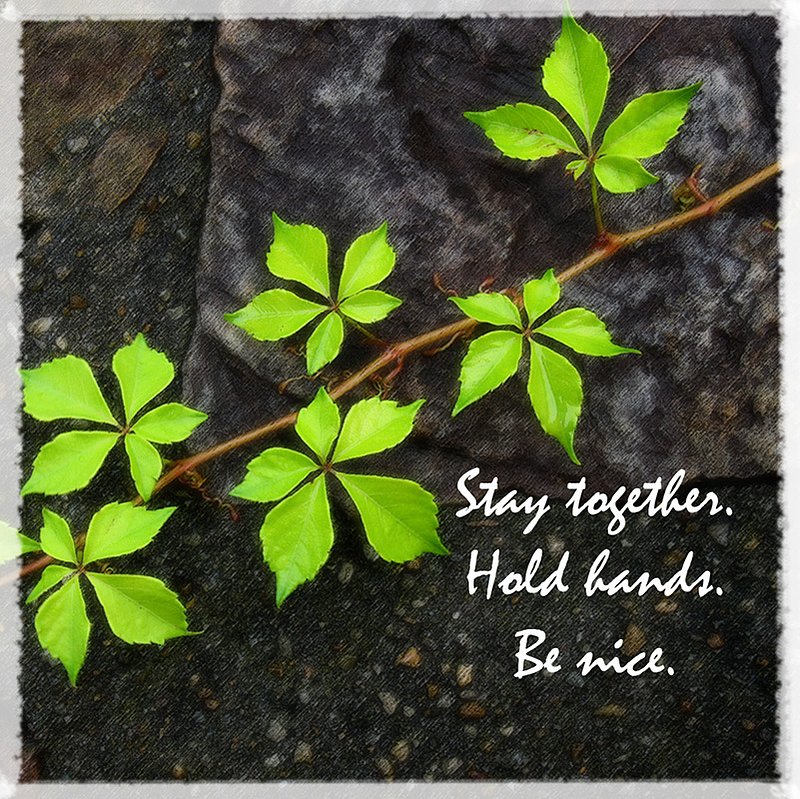 P-Stay Together.jpg :: Portfolio Samples