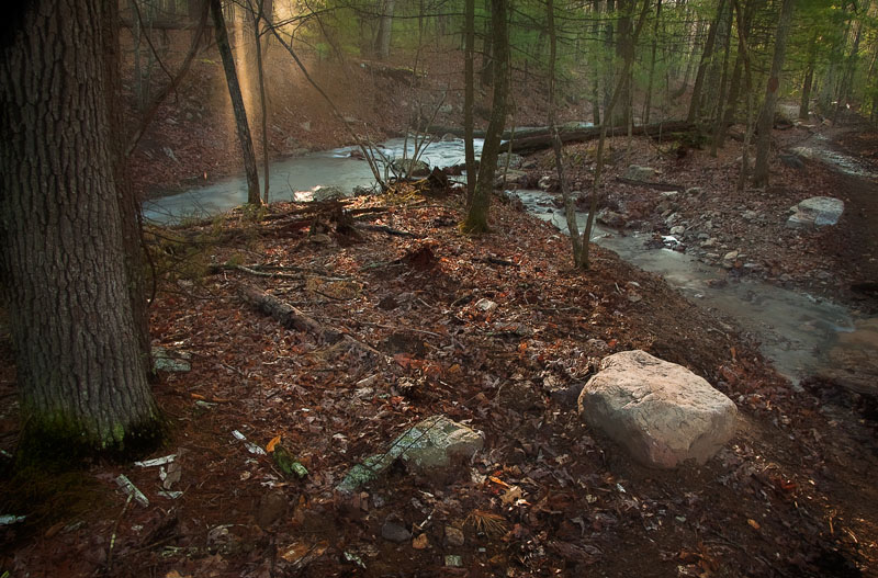 P-Sunbeam at Stoney Run.jpg :: Portfolio Sample