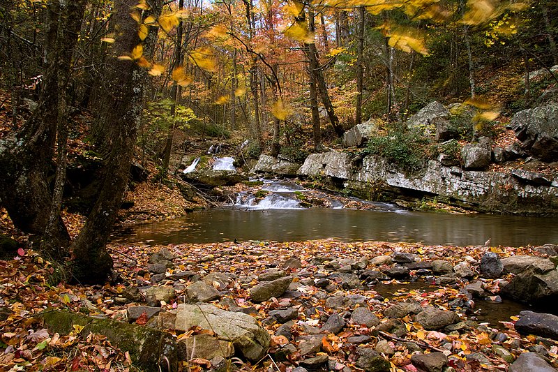 Roaring Run_0133.jpg