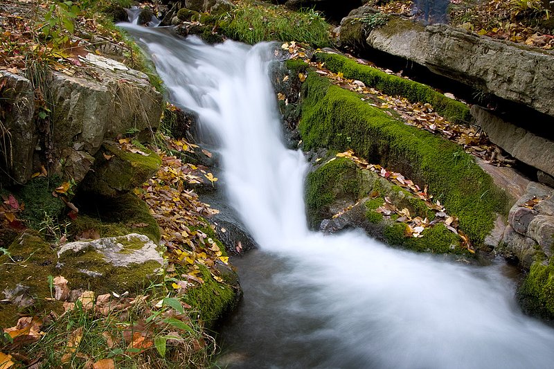 Roaring Run_0134.jpg