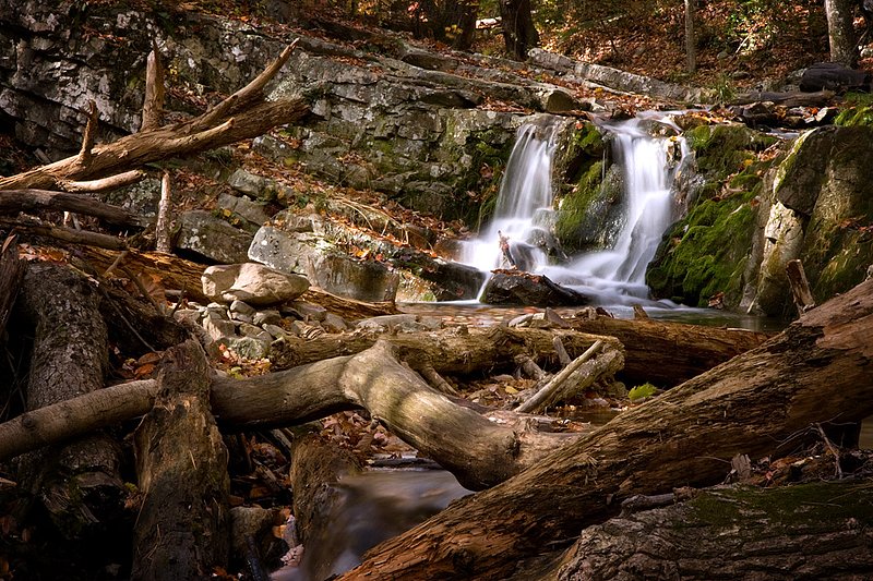 Roaring Run_0160.jpg