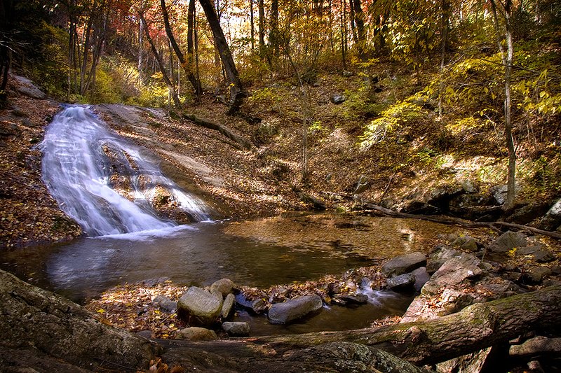 Roaring Run_0186.jpg