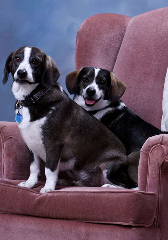 Shilo-Milo_00131.jpg