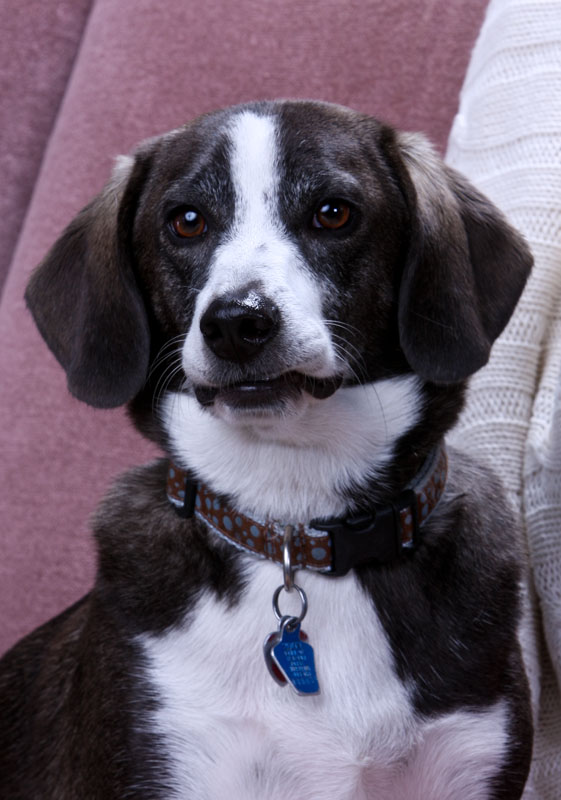 Shilo-Milo_00161.jpg