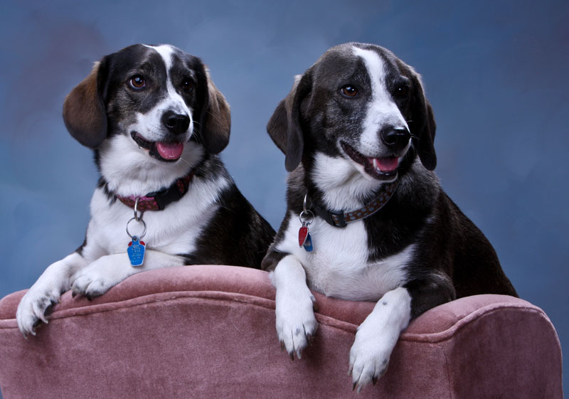 Shilo-Milo_00801.jpg