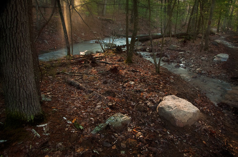 Sunbeam at Stoney Run.jpg :: The morning sun was just cresting the ridgeline near Stoney Run Trail when this shot was made.