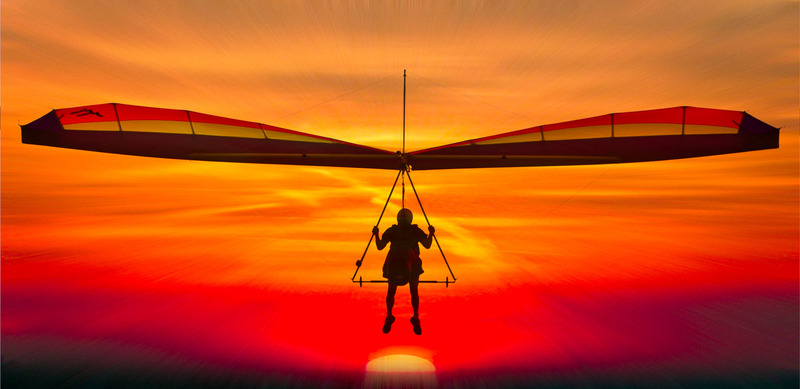 Sunset Flight.jpg