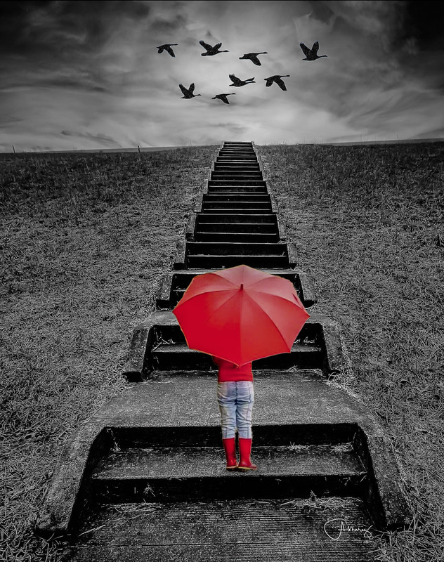 The Red Umbrella.jpg