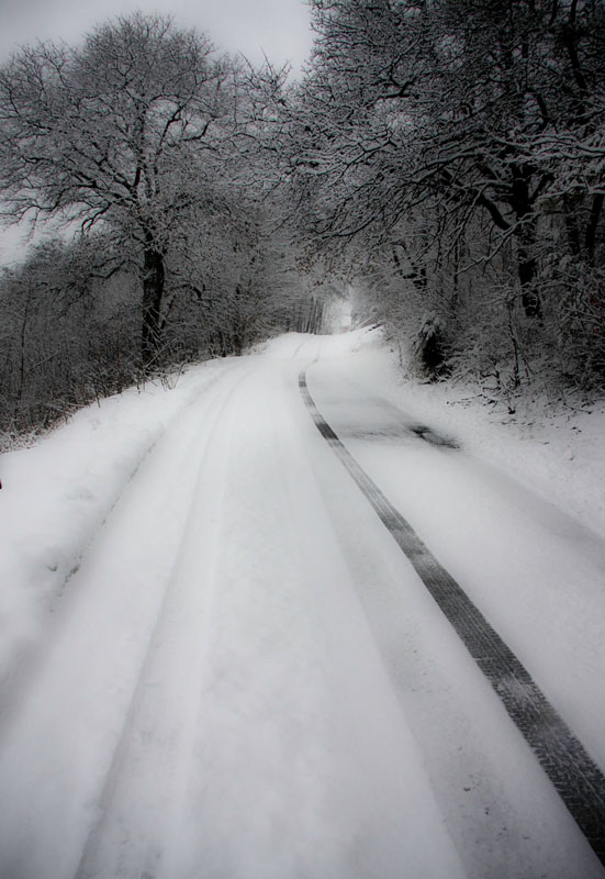 Upton St - Interpretation1.jpg :: Single track on Upton St in Clifton Forge, VA