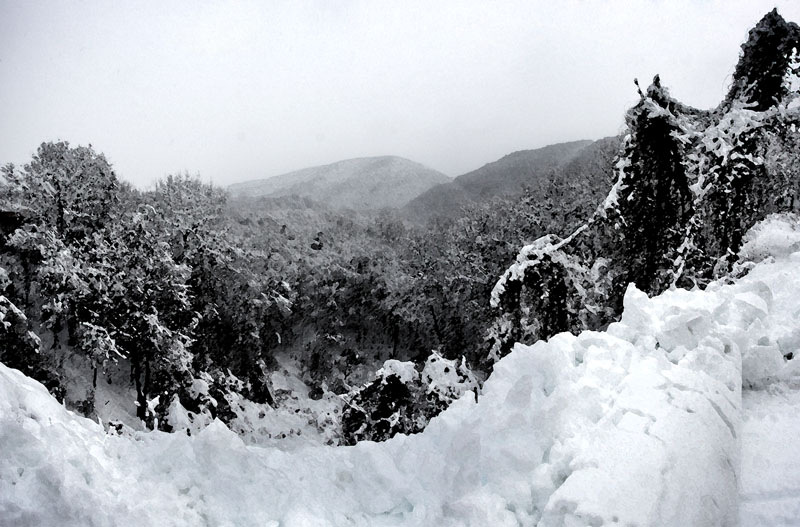 View at HCB1.jpg :: Ravine in Clifton Forge, VA.